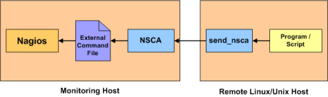 nsca